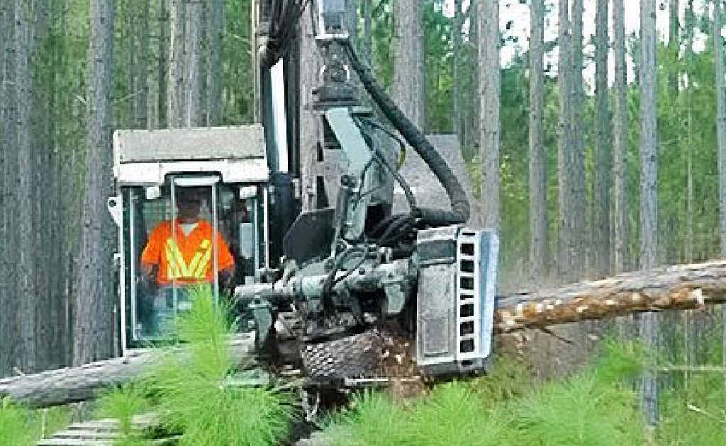 The timber industry has come out swinging, slamming the previous state government’s ’dud deal’. The timber industry has come out swinging, slamming the previous state government’s ’dud deal’.